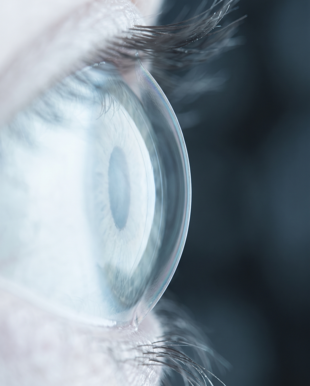 Película lagrimal sobre la superficie del ojo